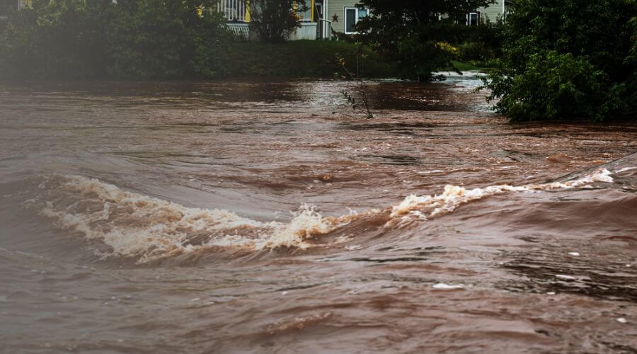 Why choose water damage cleanup for ceiling water damage repair in Patchogue